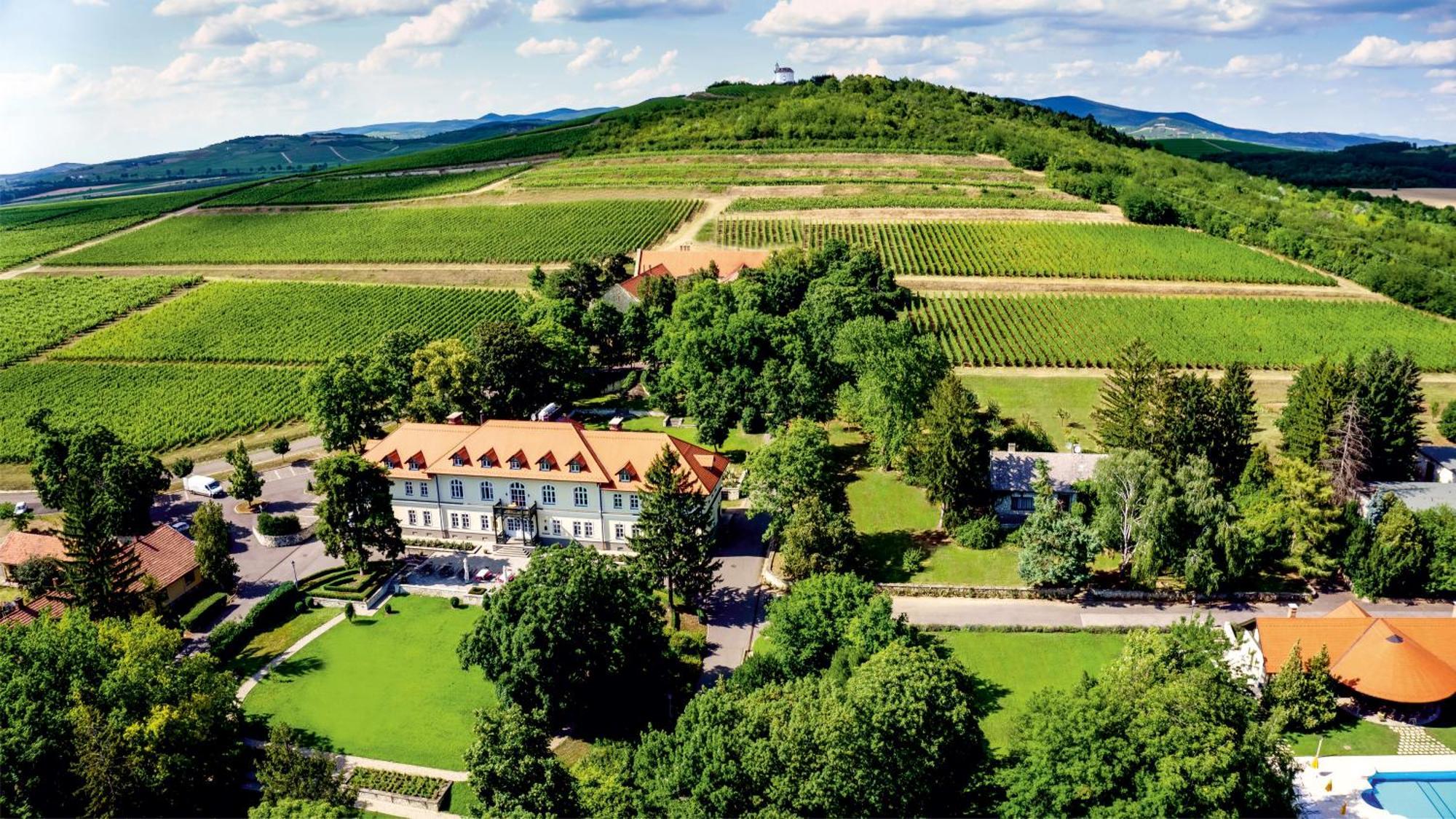 Castle Hotel Grof Degenfeld Superior Tarcal Exterior foto