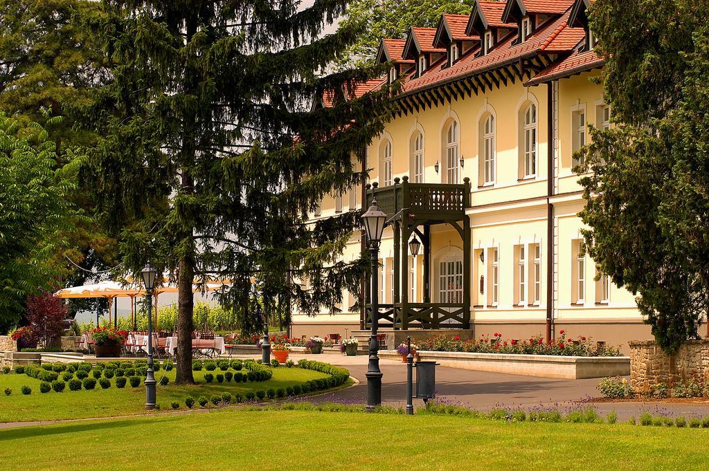 Castle Hotel Grof Degenfeld Superior Tarcal Exterior foto